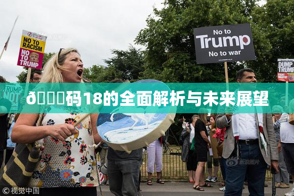 🈚码18的全面解析与未来展望