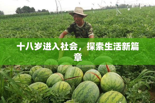 十八岁进入社会，探索生活新篇章