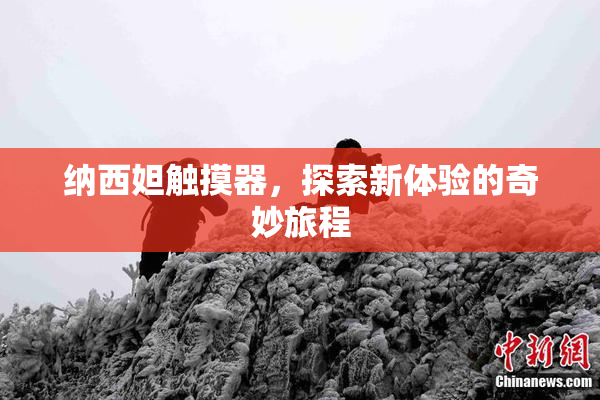 纳西妲触摸器，探索新体验的奇妙旅程