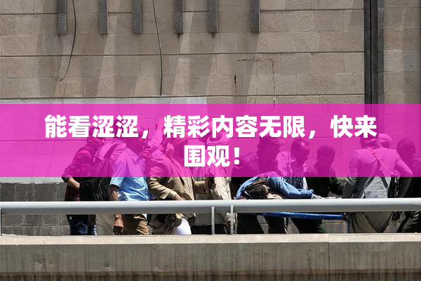 能看涩涩，精彩内容无限，快来围观！