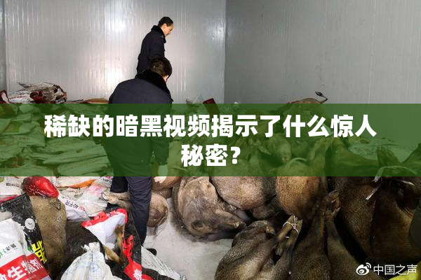 稀缺的暗黑视频揭示了什么惊人秘密？