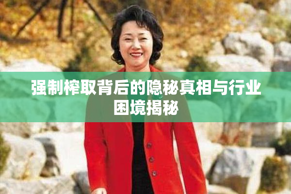 强制榨取背后的隐秘真相与行业困境揭秘