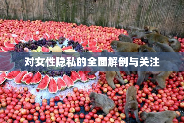 对女性隐私的全面解剖与关注