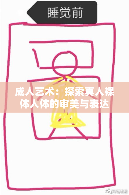 成人艺术：探索真人裸体人体的审美与表达