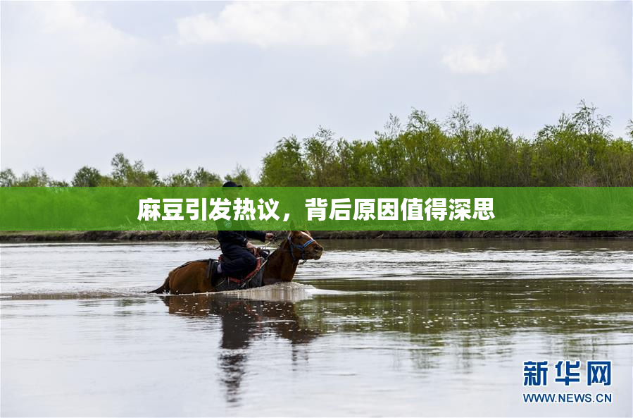麻豆引发热议，背后原因值得深思