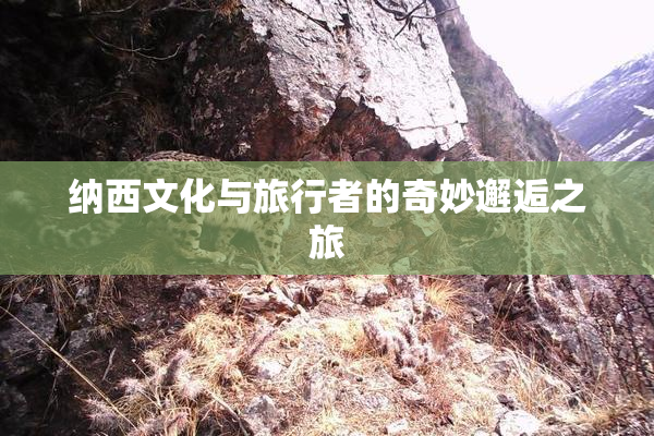 纳西文化与旅行者的奇妙邂逅之旅