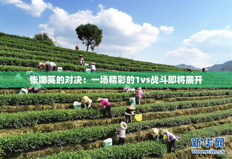 张娜英的对决：一场精彩的1vs战斗即将展开