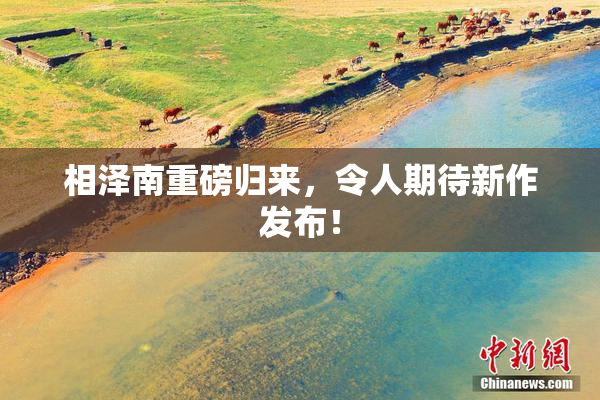 相泽南重磅归来，令人期待新作发布！