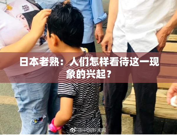 日本老熟：人们怎样看待这一现象的兴起？