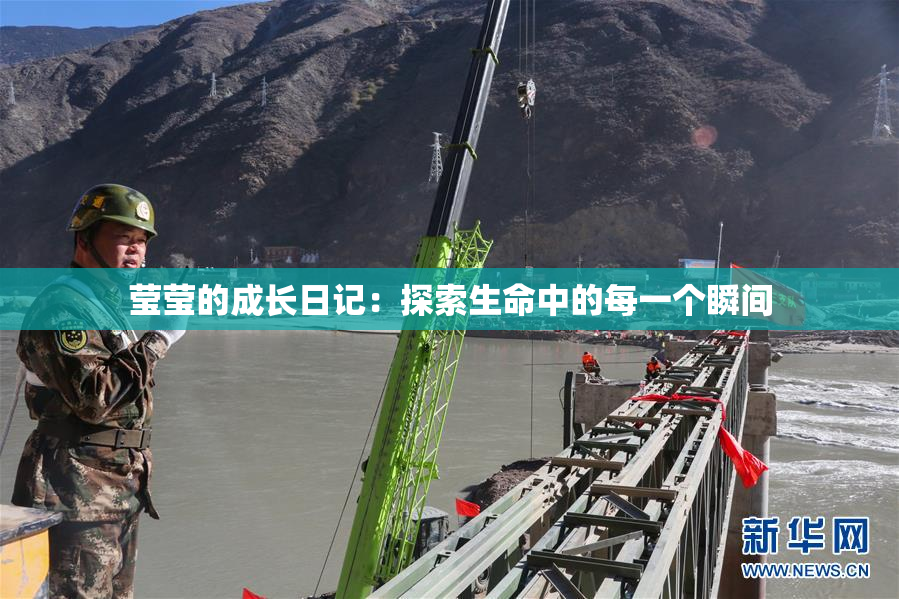 莹莹的成长日记：探索生命中的每一个瞬间