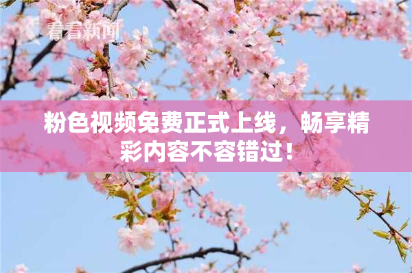 粉色视频免费正式上线，畅享精彩内容不容错过！