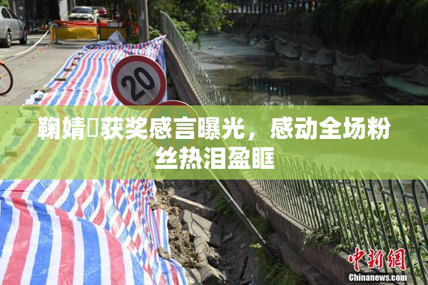 鞠婧祎获奖感言曝光，感动全场粉丝热泪盈眶