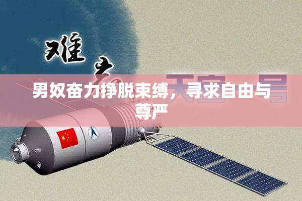男奴奋力挣脱束缚，寻求自由与尊严
