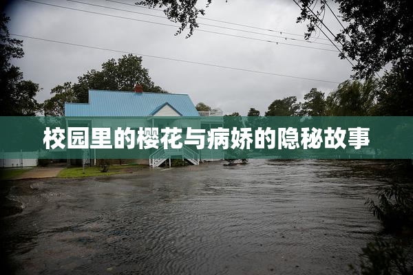校园里的樱花与病娇的隐秘故事