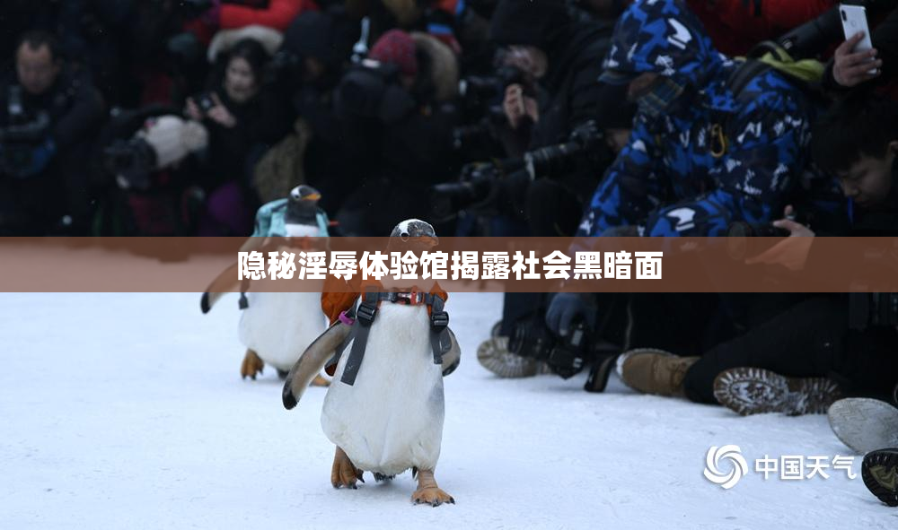 隐秘淫辱体验馆揭露社会黑暗面