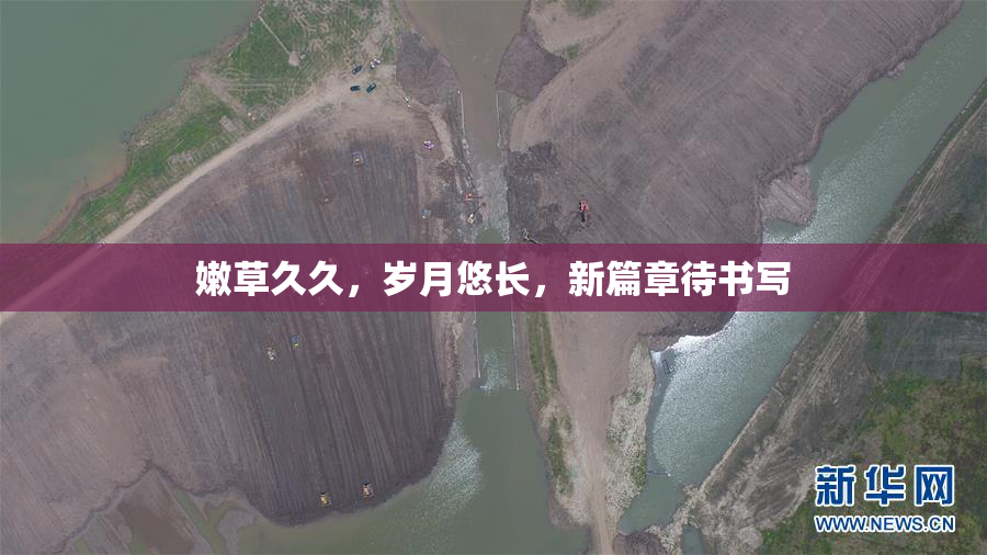 嫩草久久，岁月悠长，新篇章待书写