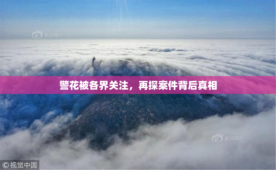警花被各界关注，再探案件背后真相