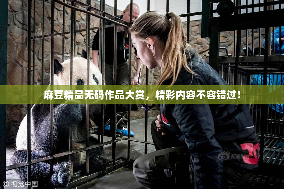 麻豆精品无码作品大赏，精彩内容不容错过！