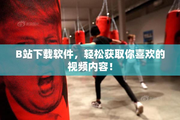 B站下载软件，轻松获取你喜欢的视频内容！