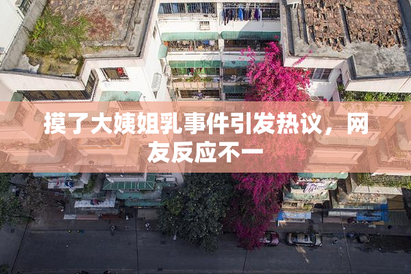 摸了大姨姐乳事件引发热议，网友反应不一