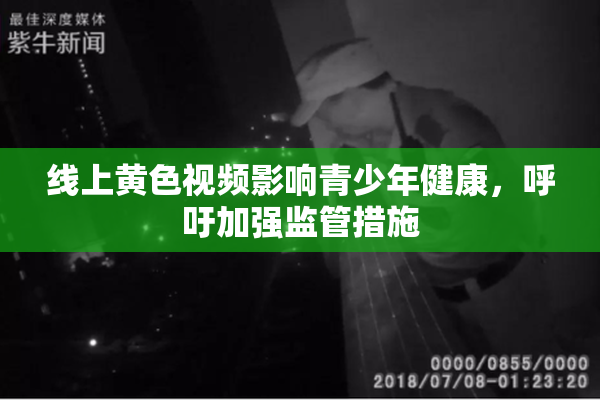 线上黄色视频影响青少年健康，呼吁加强监管措施
