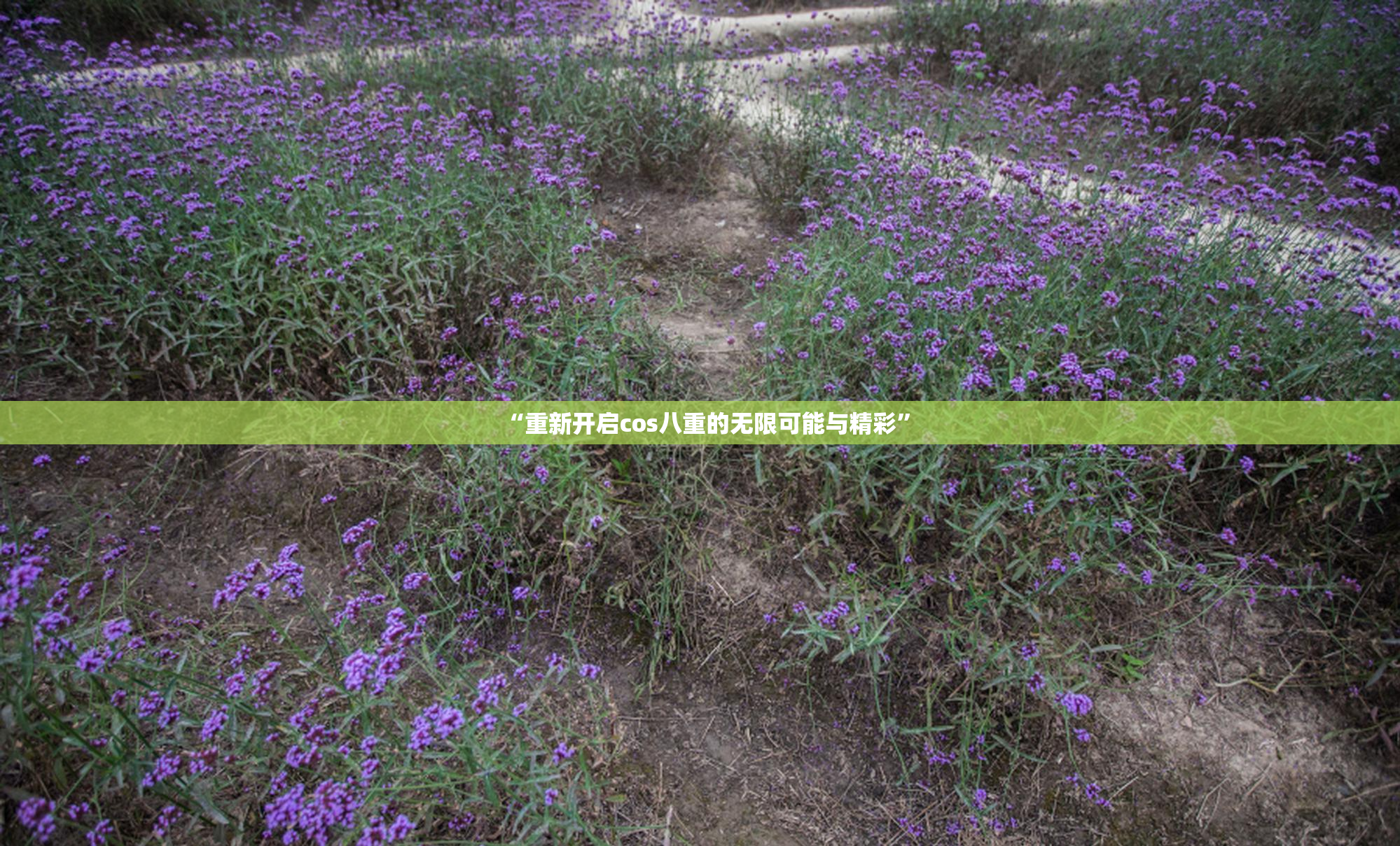 “重新开启cos八重的无限可能与精彩”
