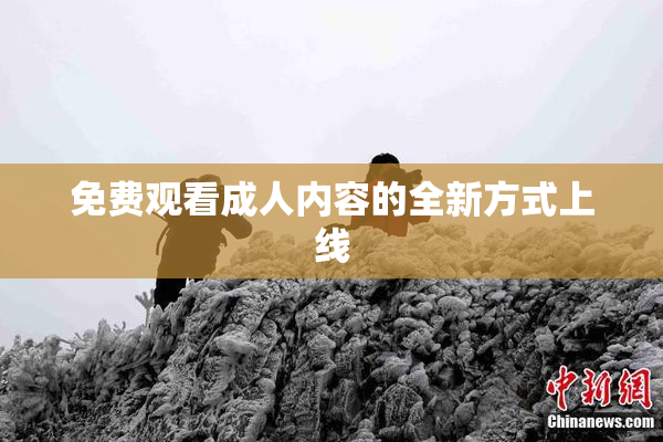 免费观看成人内容的全新方式上线