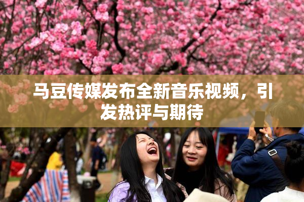 马豆传媒发布全新音乐视频，引发热评与期待