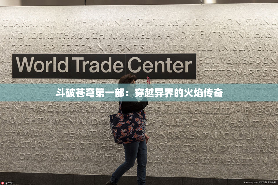 斗破苍穹第一部：穿越异界的火焰传奇