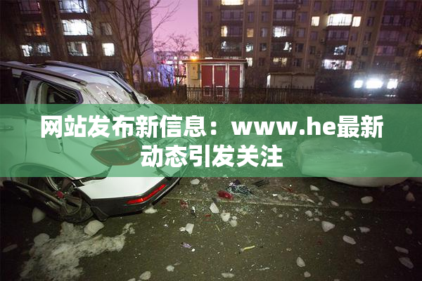 网站发布新信息：www.he最新动态引发关注