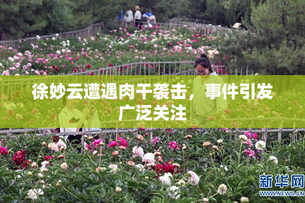 徐妙云遭遇肉干袭击，事件引发广泛关注