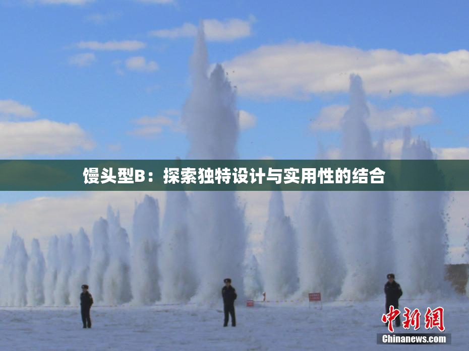 馒头型B：探索独特设计与实用性的结合