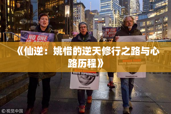 《仙逆：姚惜的逆天修行之路与心路历程》