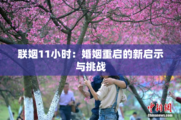 联姻11小时：婚姻重启的新启示与挑战