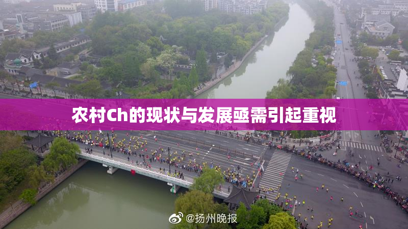 农村Ch的现状与发展亟需引起重视