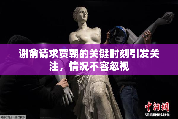 谢俞请求贺朝的关键时刻引发关注，情况不容忽视