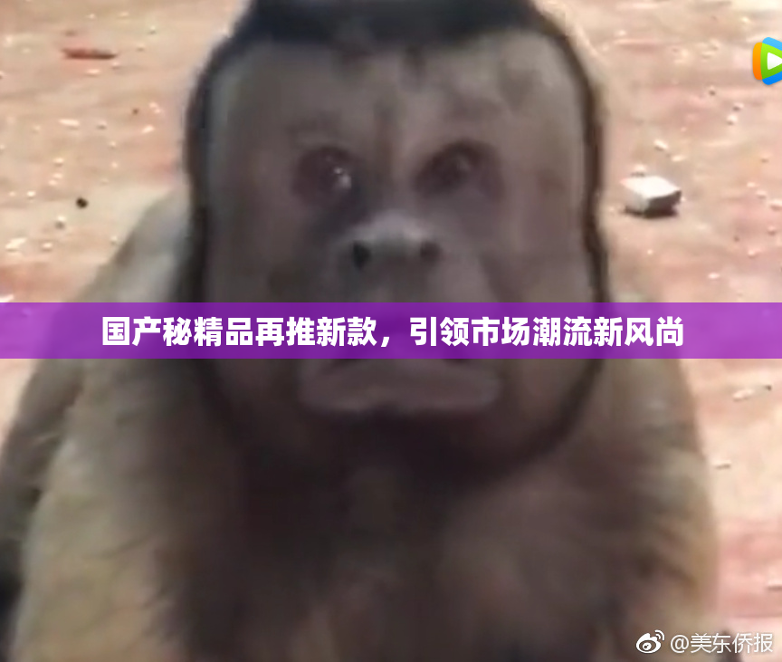 国产秘精品再推新款，引领市场潮流新风尚