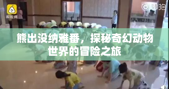 熊出没纳雅番，探秘奇幻动物世界的冒险之旅