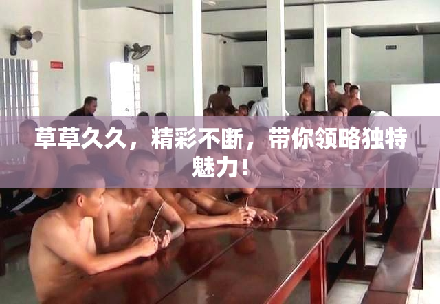草草久久，精彩不断，带你领略独特魅力！
