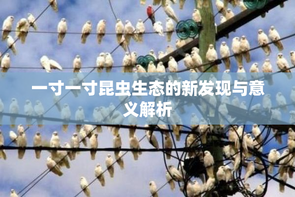 一寸一寸昆虫生态的新发现与意义解析