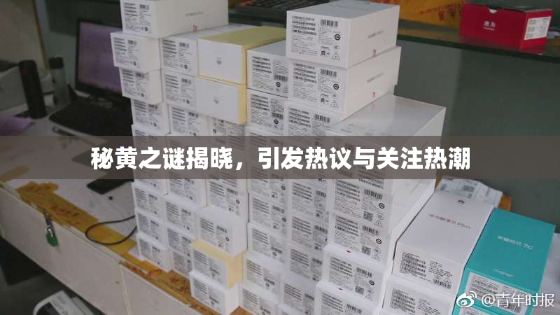 秘黄之谜揭晓，引发热议与关注热潮