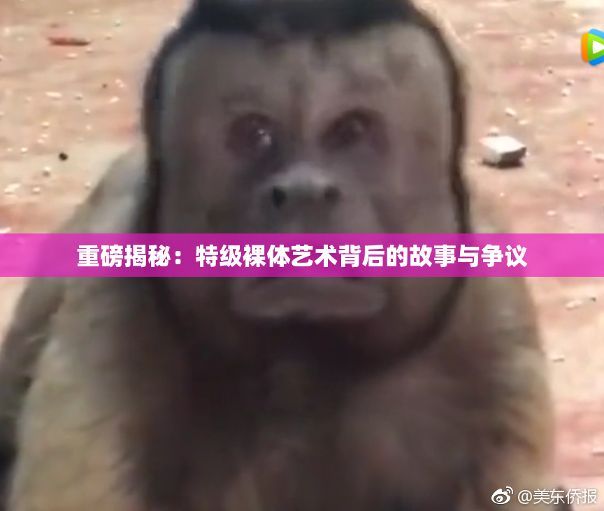 重磅揭秘：特级裸体艺术背后的故事与争议