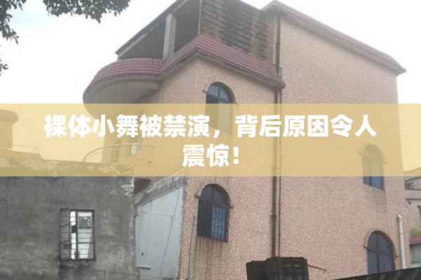 裸体小舞被禁演，背后原因令人震惊！