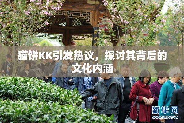 猫饼KK引发热议，探讨其背后的文化内涵