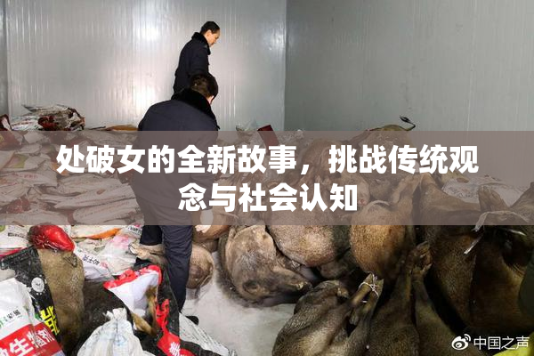 处破女的全新故事，挑战传统观念与社会认知