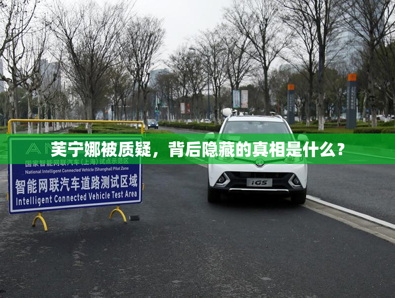 芙宁娜被质疑，背后隐藏的真相是什么？
