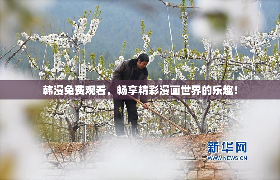 韩漫免费观看，畅享精彩漫画世界的乐趣！