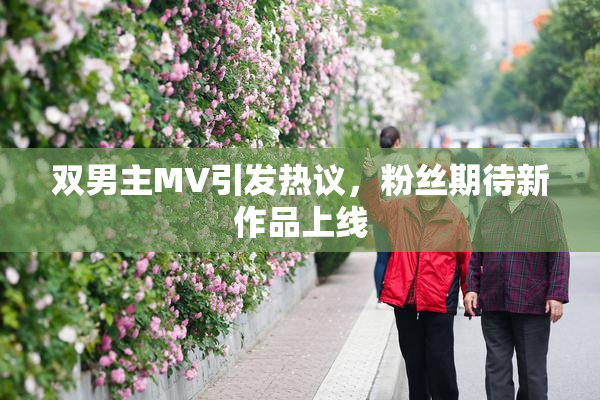 双男主MV引发热议，粉丝期待新作品上线