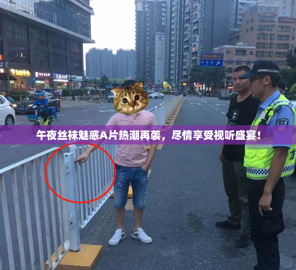 午夜丝袜魅惑A片热潮再袭，尽情享受视听盛宴！