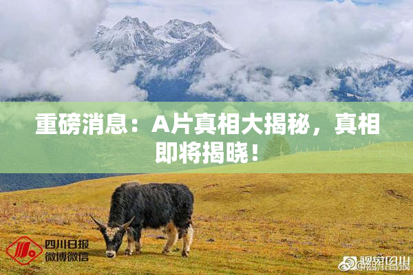 重磅消息：A片真相大揭秘，真相即将揭晓！